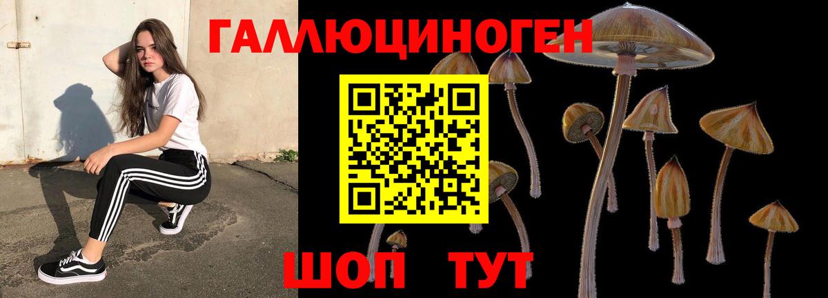 Галлюциногенные грибы прущие грибы  Вход с VPN  Оренбург  Псилоцибиновые грибы мицелий 